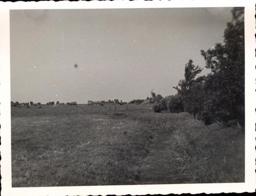 Snapshot polder près - snapshot,