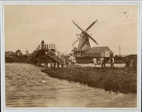 Nederland zaandam polder - nederland,,